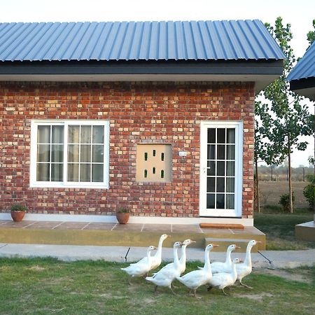 Rustic Roots Farm Stay Attari 외부 사진