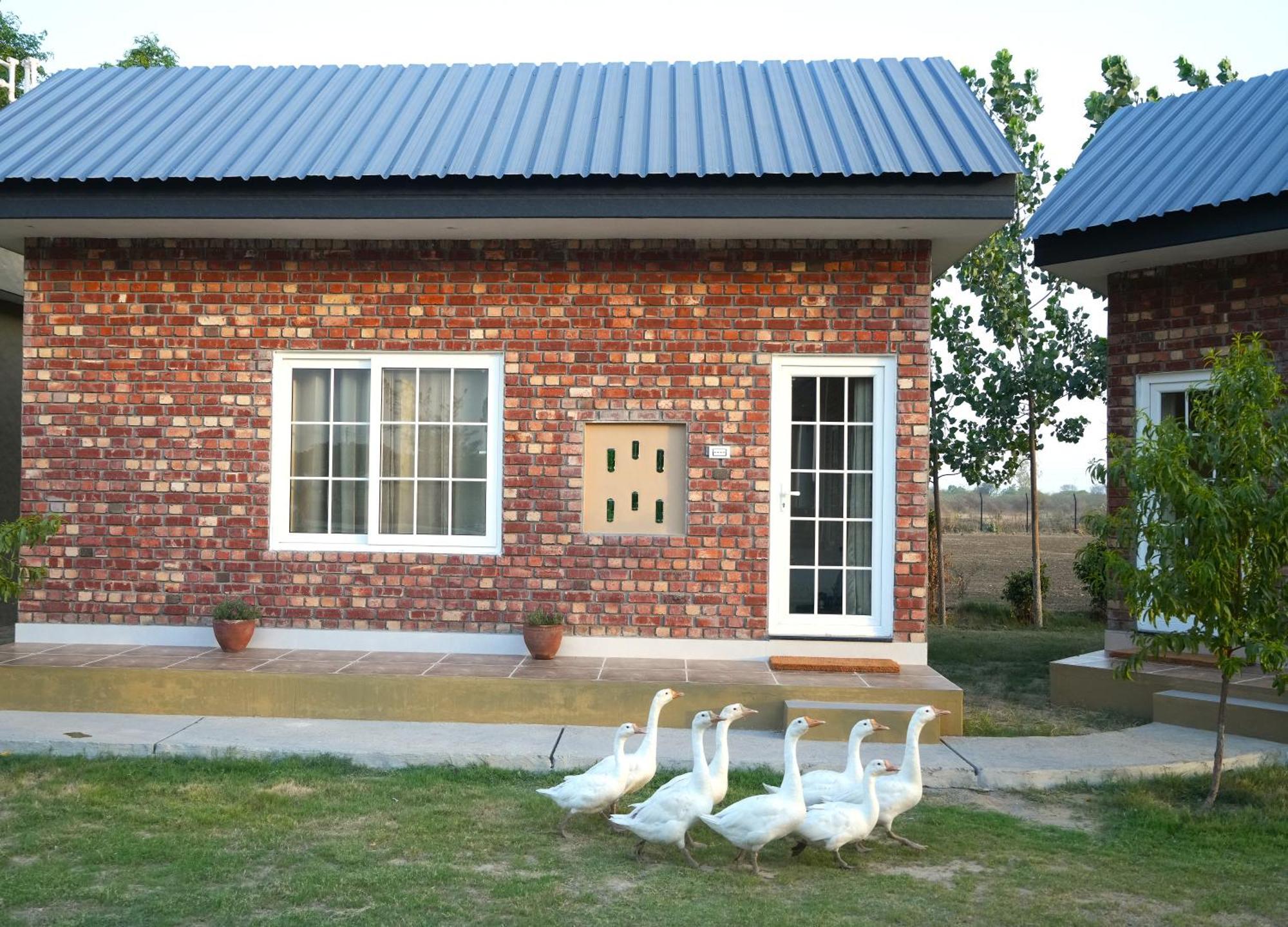 Rustic Roots Farm Stay Attari 외부 사진